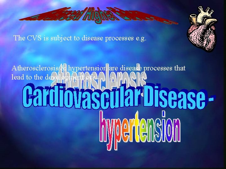 The CVS is subject to disease processes e. g. Atherosclerosis & hypertension are disease