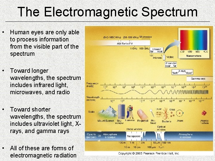 The Electromagnetic Spectrum • Human eyes are only able to process information from the