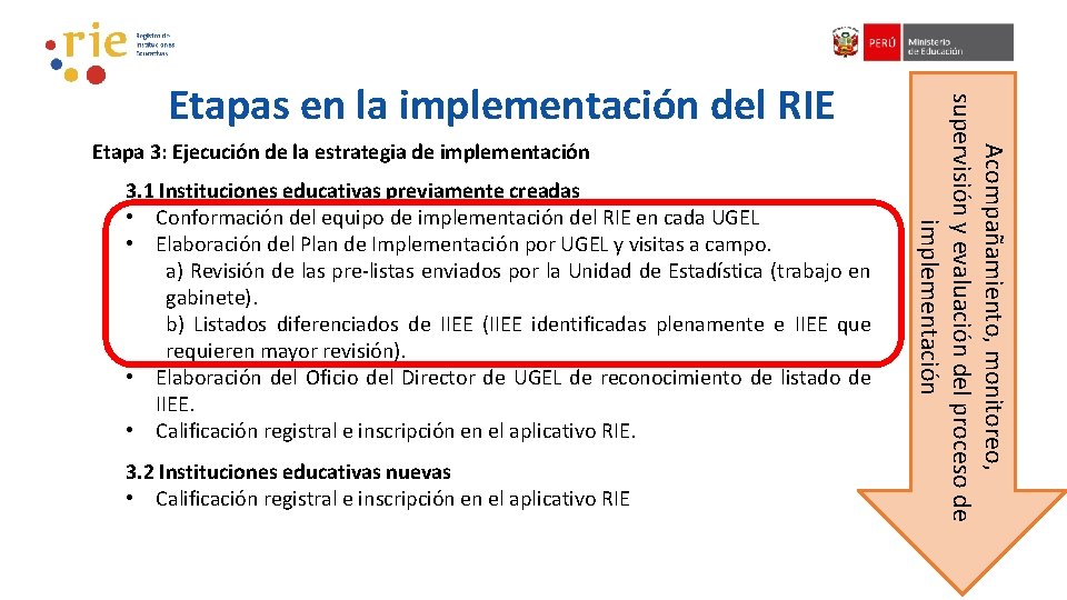 Etapa 3: Ejecución de la estrategia de implementación 3. 1 Instituciones educativas previamente creadas Etapa 3: Ejecución de la estrategia de implementación 3. 1 Instituciones educativas previamente creadas