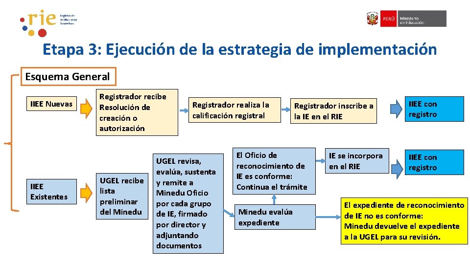 Etapa 3: Ejecución de la estrategia de implementación Esquema General IIEE Nuevas IIEE Existentes