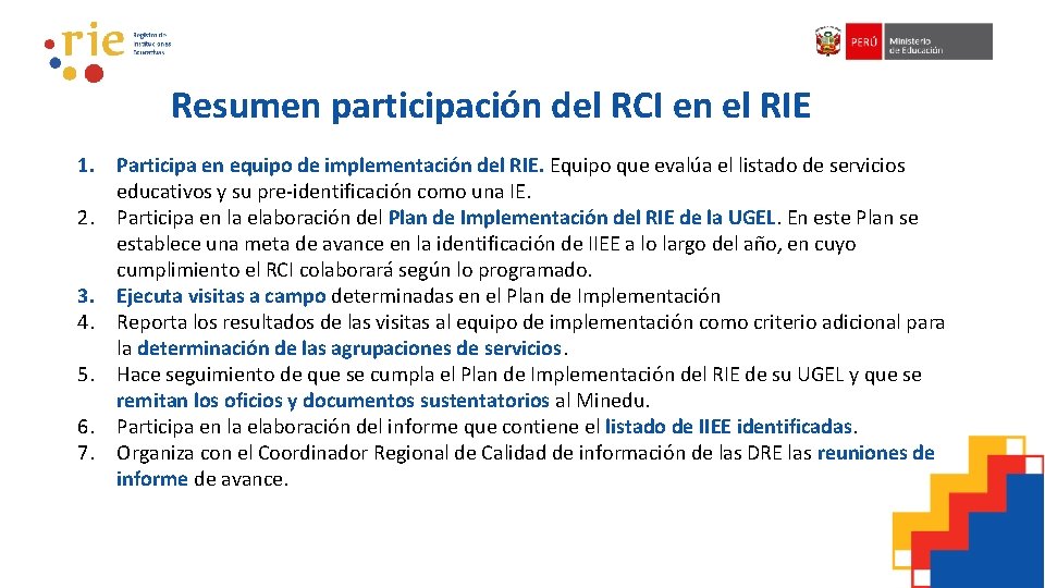 Resumen participación del RCI en el RIE 1. Participa en equipo de implementación del