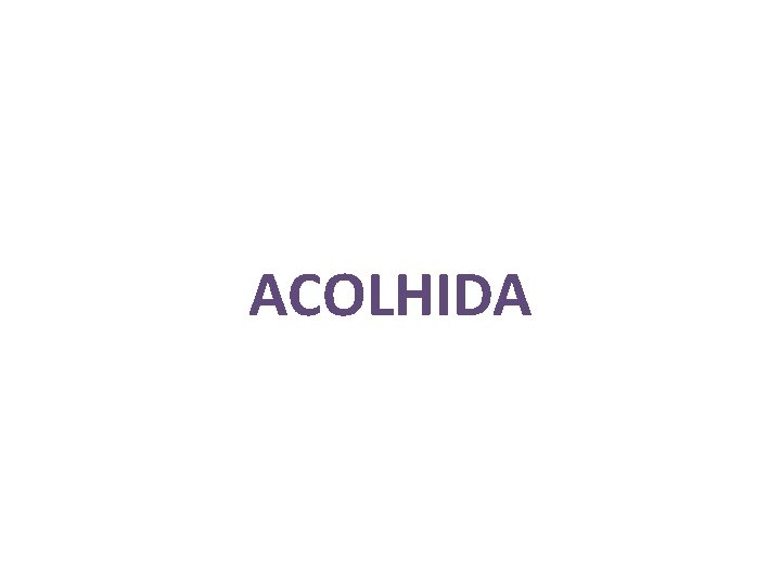 ACOLHIDA 