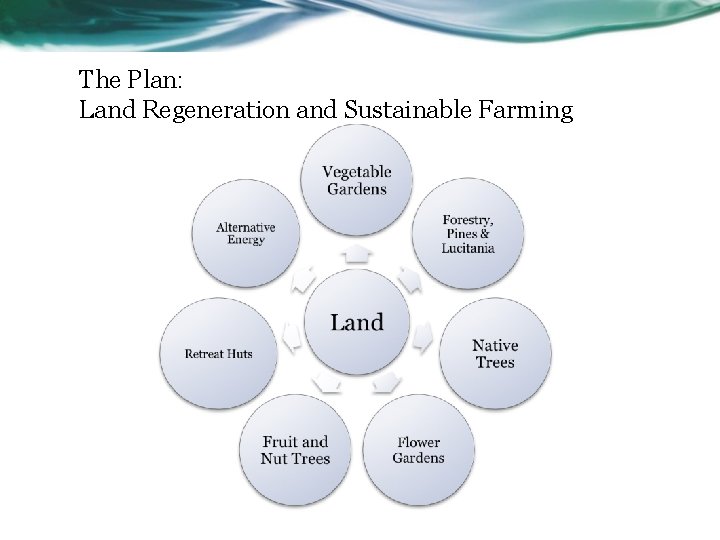 The Plan: Land Regeneration and Sustainable Farming 