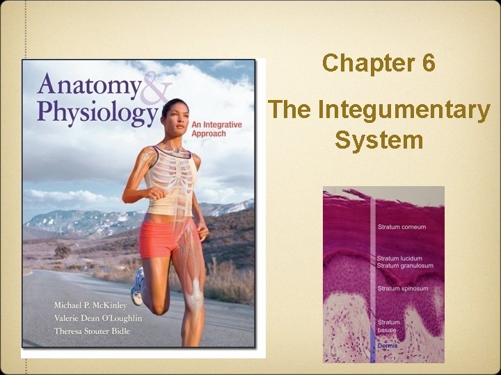 Chapter 6 The Integumentary System 