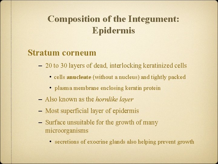 Composition of the Integument: Epidermis Stratum corneum – 20 to 30 layers of dead,