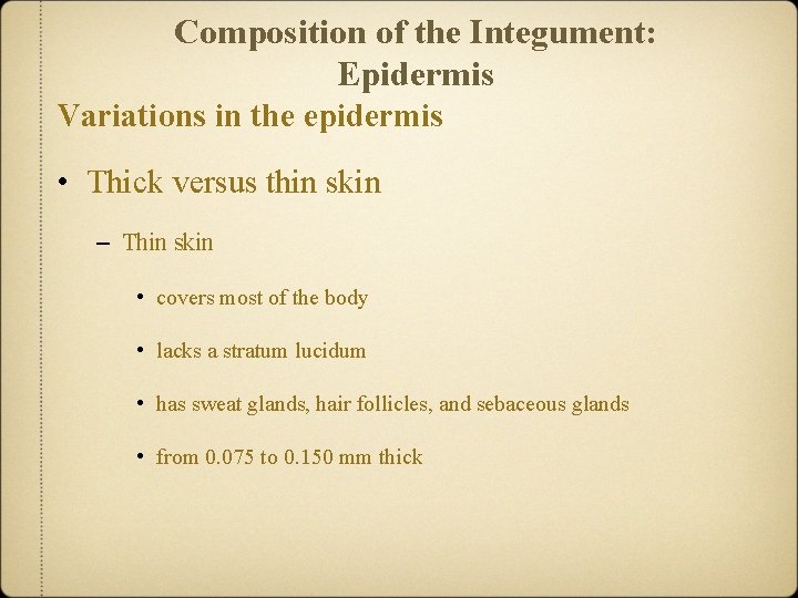 Composition of the Integument: Epidermis Variations in the epidermis • Thick versus thin skin