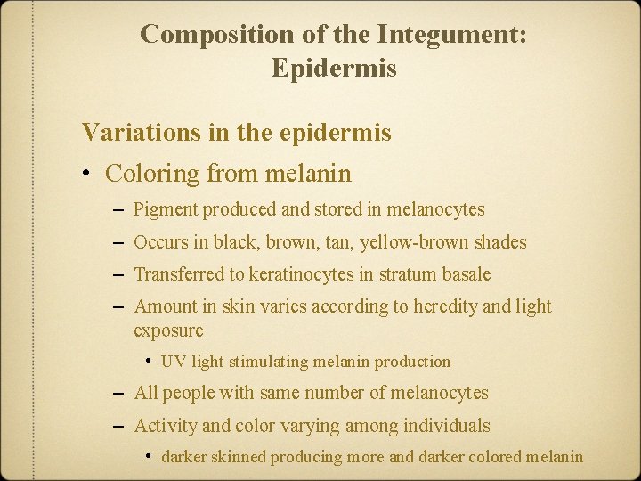 Composition of the Integument: Epidermis Variations in the epidermis • Coloring from melanin –