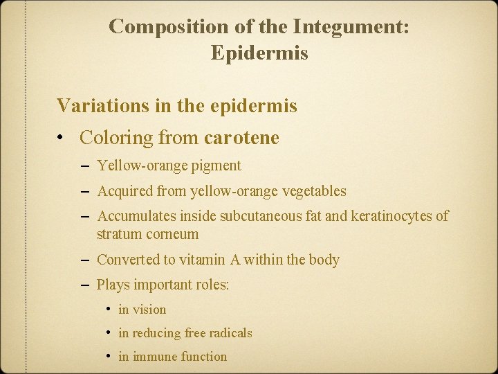 Composition of the Integument: Epidermis Variations in the epidermis • Coloring from carotene –