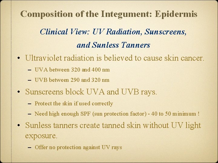 Composition of the Integument: Epidermis Clinical View: UV Radiation, Sunscreens, and Sunless Tanners •