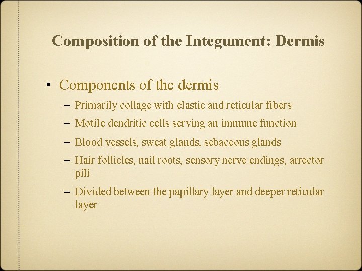 Composition of the Integument: Dermis • Components of the dermis – Primarily collage with