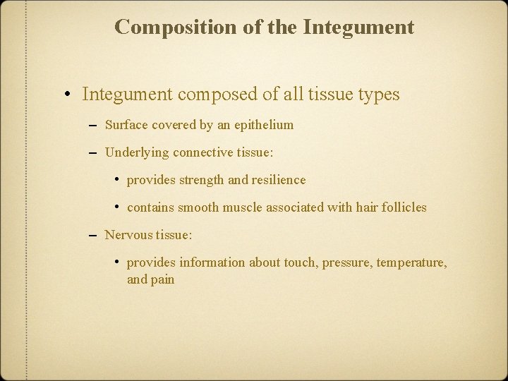 Composition of the Integument • Integument composed of all tissue types – Surface covered