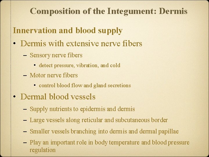 Composition of the Integument: Dermis Innervation and blood supply • Dermis with extensive nerve