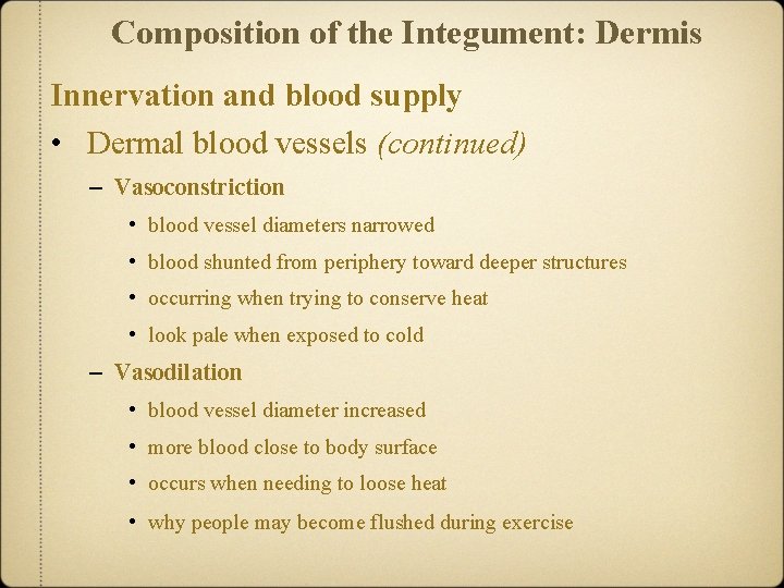 Composition of the Integument: Dermis Innervation and blood supply • Dermal blood vessels (continued)