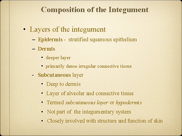 Composition of the Integument • Layers of the integument – Epidermis - stratified squamous