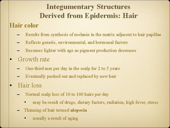 Integumentary Structures Derived from Epidermis: Hair color – Results from synthesis of melanin in