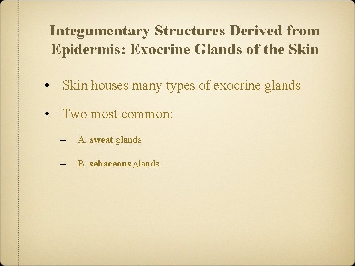 Integumentary Structures Derived from Epidermis: Exocrine Glands of the Skin • Skin houses many