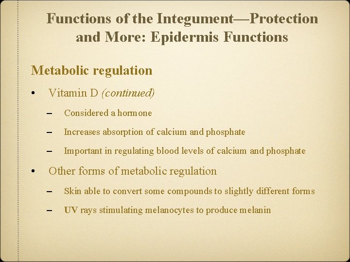 Functions of the Integument—Protection and More: Epidermis Functions Metabolic regulation • • Vitamin D