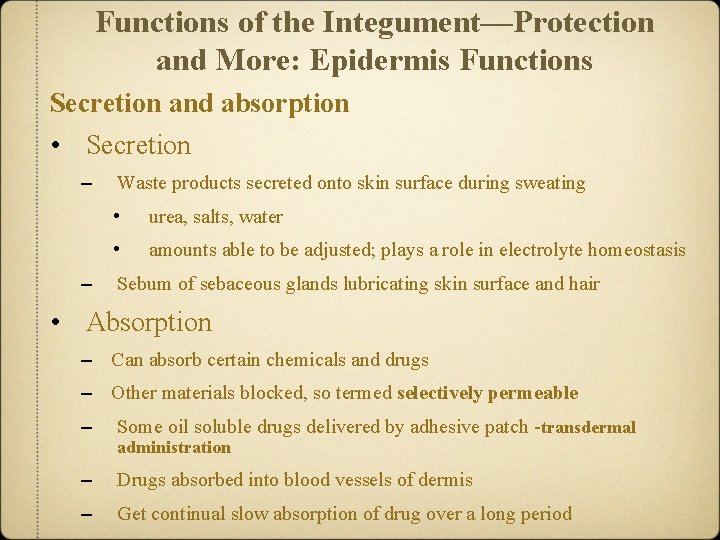 Functions of the Integument—Protection and More: Epidermis Functions Secretion and absorption • Secretion –