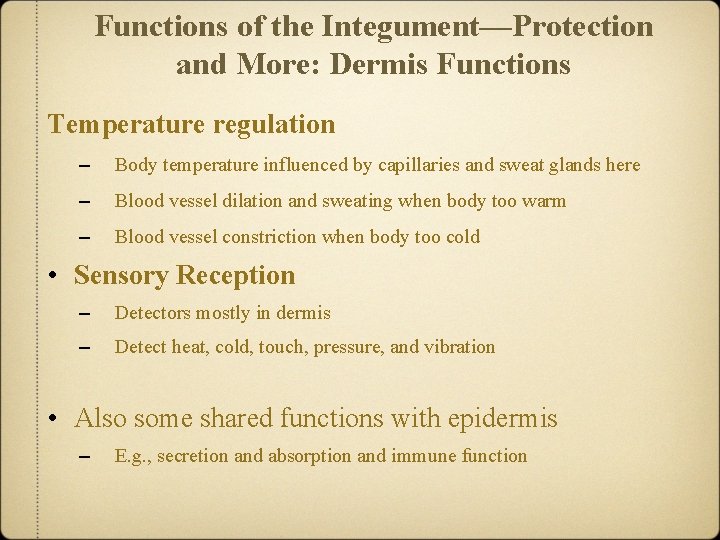 Functions of the Integument—Protection and More: Dermis Functions Temperature regulation – Body temperature influenced