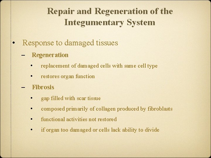 Repair and Regeneration of the Integumentary System • Response to damaged tissues – –