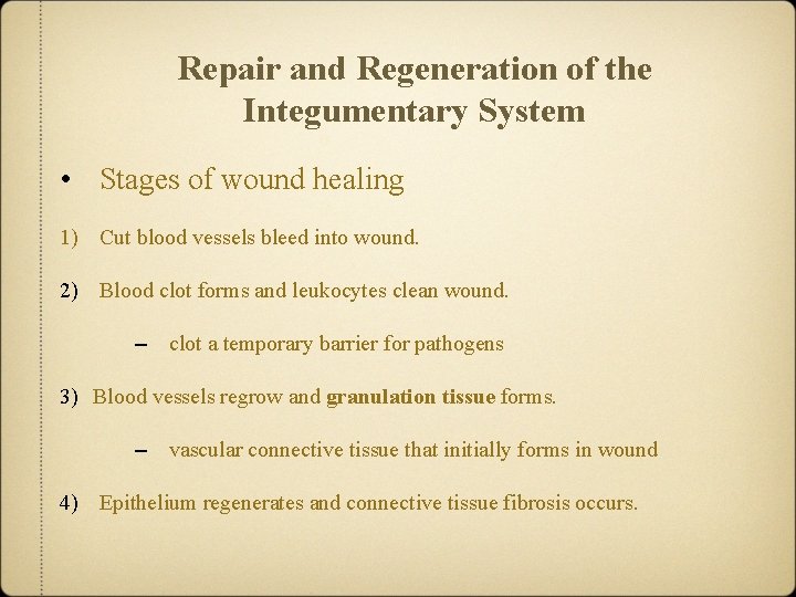 Repair and Regeneration of the Integumentary System • Stages of wound healing 1) Cut