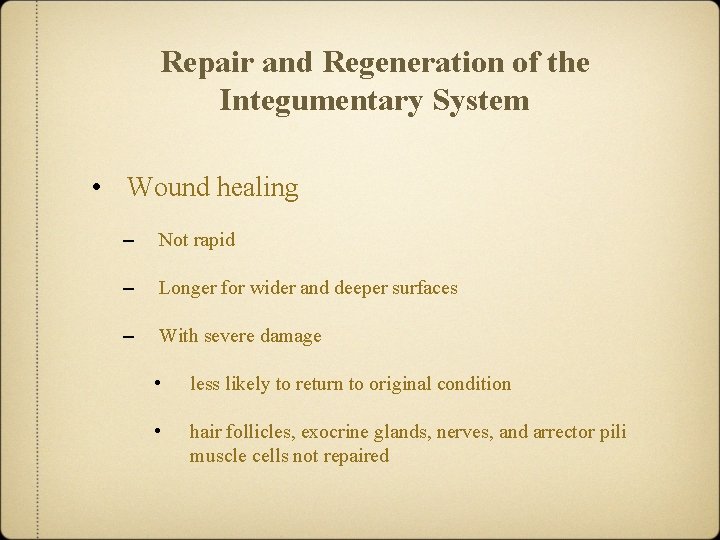 Repair and Regeneration of the Integumentary System • Wound healing – Not rapid –