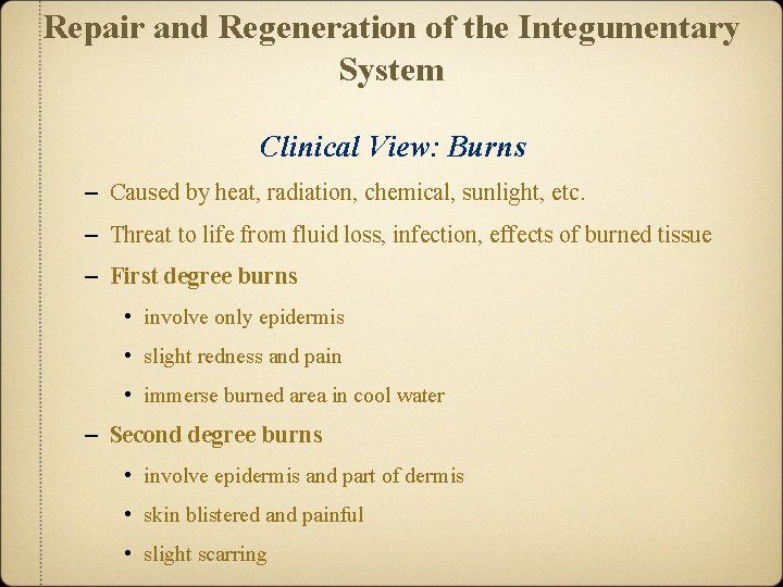 Repair and Regeneration of the Integumentary System Clinical View: Burns – Caused by heat,