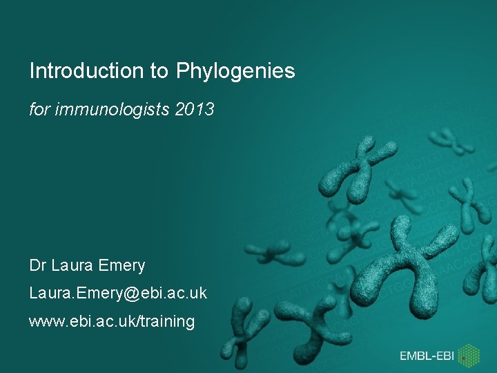 Introduction to Phylogenies for immunologists 2013 Dr Laura Emery Laura. Emery@ebi. ac. uk www. Introduction to Phylogenies for immunologists 2013 Dr Laura Emery Laura. Emery@ebi. ac. uk www.