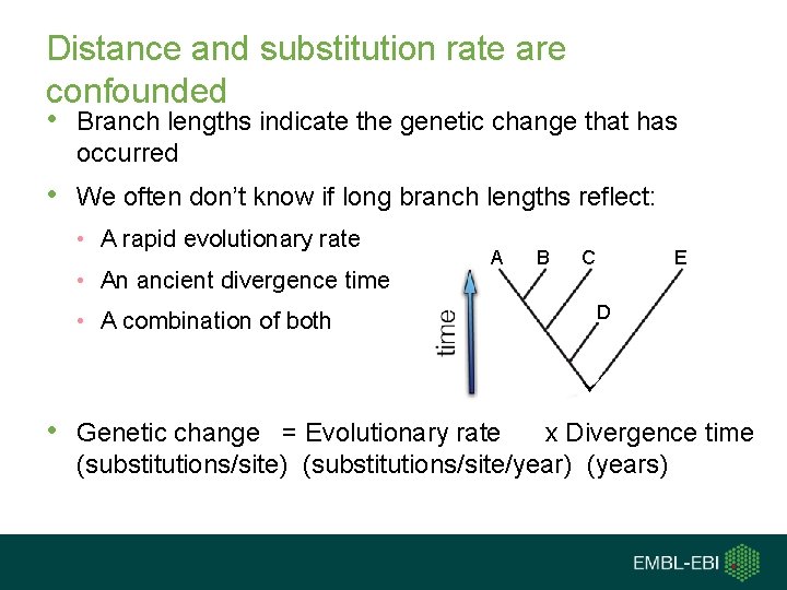 Distance and substitution rate are confounded • Branch lengths indicate the genetic change that Distance and substitution rate are confounded • Branch lengths indicate the genetic change that