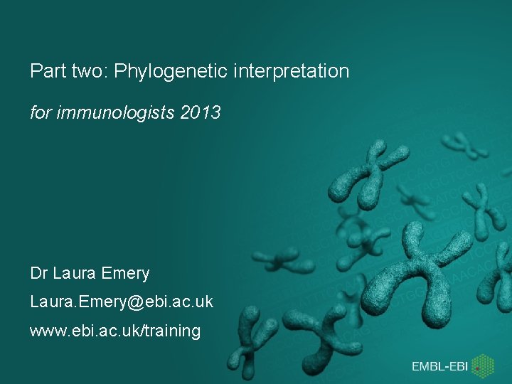 Part two: Phylogenetic interpretation for immunologists 2013 Dr Laura Emery Laura. Emery@ebi. ac. uk Part two: Phylogenetic interpretation for immunologists 2013 Dr Laura Emery Laura. Emery@ebi. ac. uk