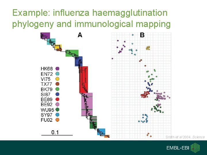 Example: influenza haemagglutination phylogeny and immunological mapping Smith et al 2004. Science 