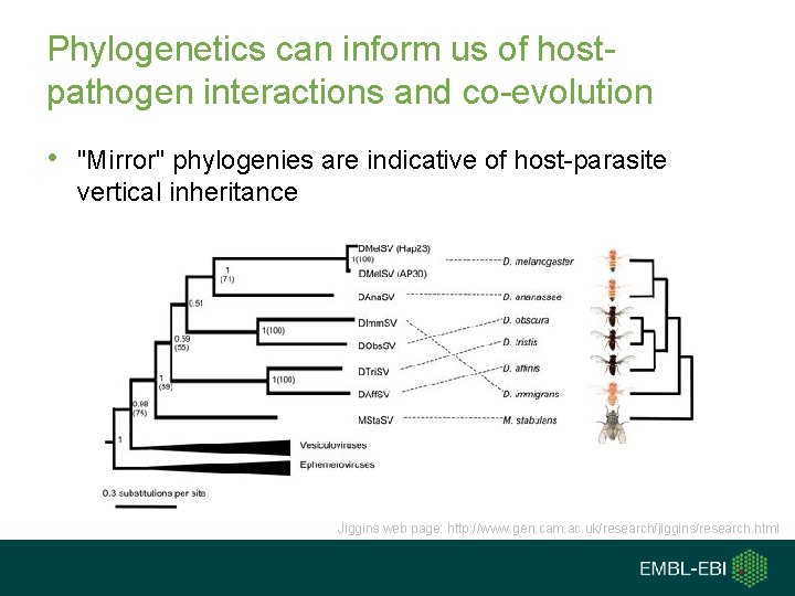 Phylogenetics can inform us of hostpathogen interactions and co-evolution • "Mirror" phylogenies are indicative Phylogenetics can inform us of hostpathogen interactions and co-evolution • "Mirror" phylogenies are indicative