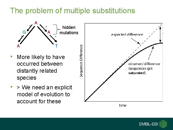 The problem of multiple substitutions * G * A A * hidden mutations A