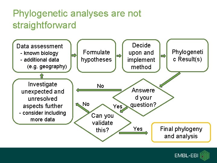 Phylogenetic analyses are not straightforward Data assessment - known biology - additional data (e. Phylogenetic analyses are not straightforward Data assessment - known biology - additional data (e.