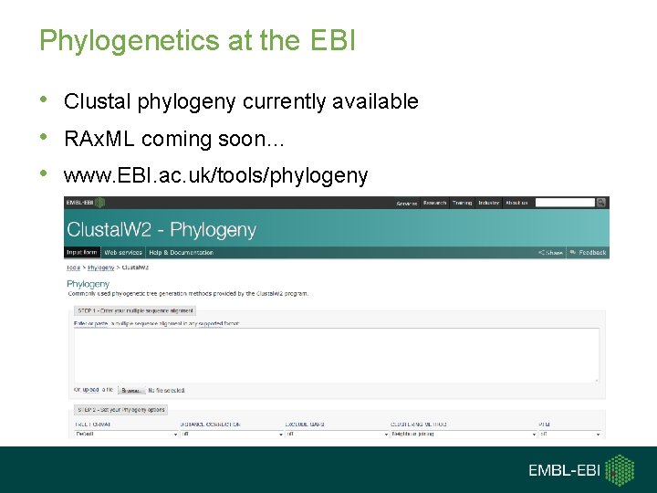 Phylogenetics at the EBI • Clustal phylogeny currently available • RAx. ML coming soon… Phylogenetics at the EBI • Clustal phylogeny currently available • RAx. ML coming soon…