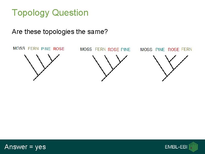 Topology Question Are these topologies the same? Answer = yes Topology Question Are these topologies the same? Answer = yes