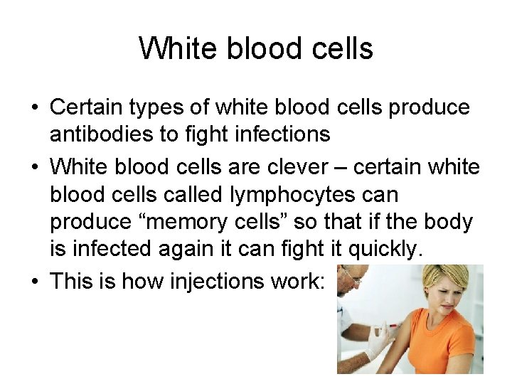 White blood cells • Certain types of white blood cells produce antibodies to fight