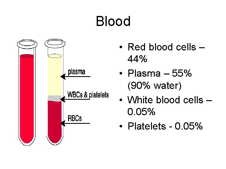Blood • Red blood cells – 44% • Plasma – 55% (90% water) •