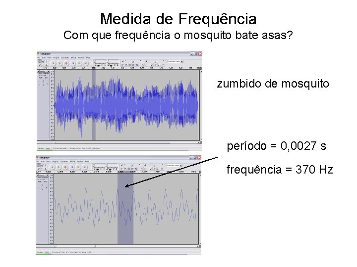 Medida de Frequência Com que frequência o mosquito bate asas? zumbido de mosquito período Medida de Frequência Com que frequência o mosquito bate asas? zumbido de mosquito período