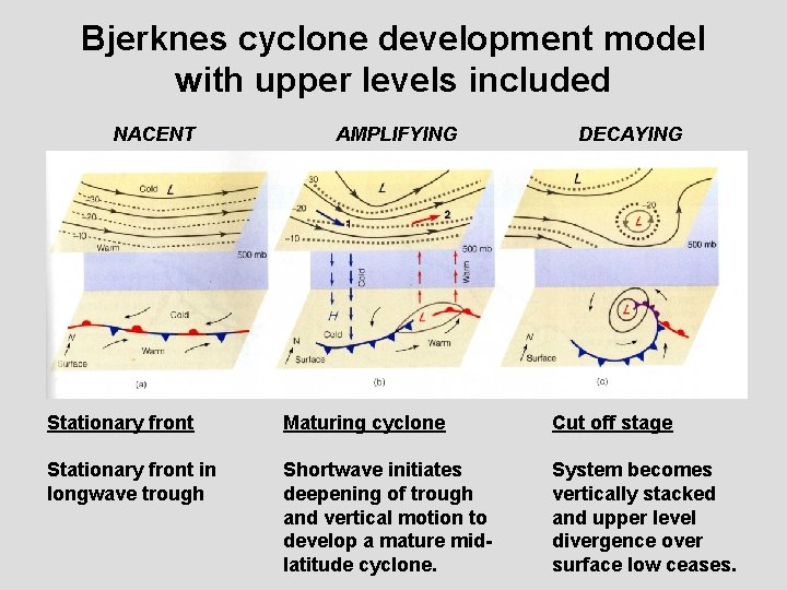 Bjerknes cyclone development model with upper levels included NACENT AMPLIFYING DECAYING Stationary front Maturing