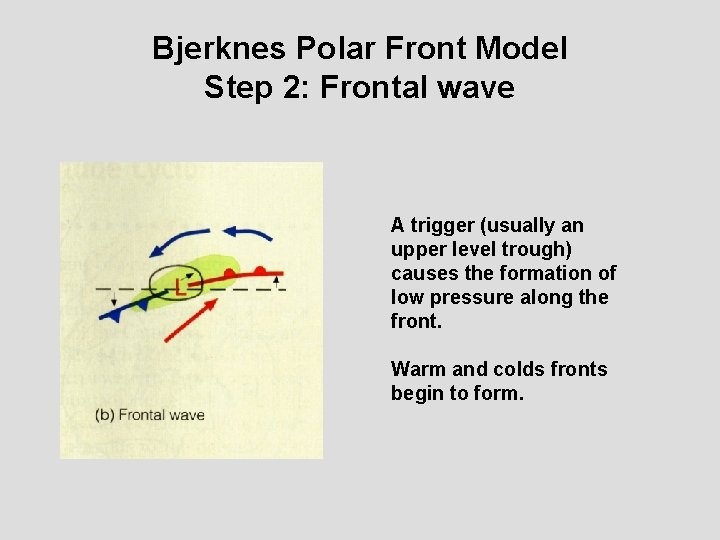 Bjerknes Polar Front Model Step 2: Frontal wave A trigger (usually an upper level