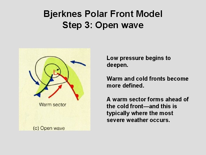 Bjerknes Polar Front Model Step 3: Open wave Low pressure begins to deepen. Warm