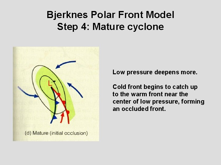 Bjerknes Polar Front Model Step 4: Mature cyclone Low pressure deepens more. Cold front