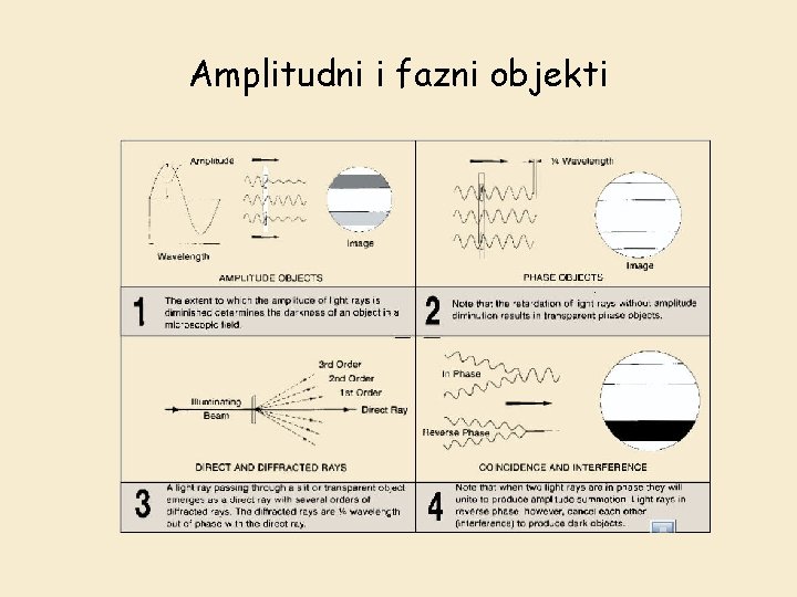 Amplitudni i fazni objekti 