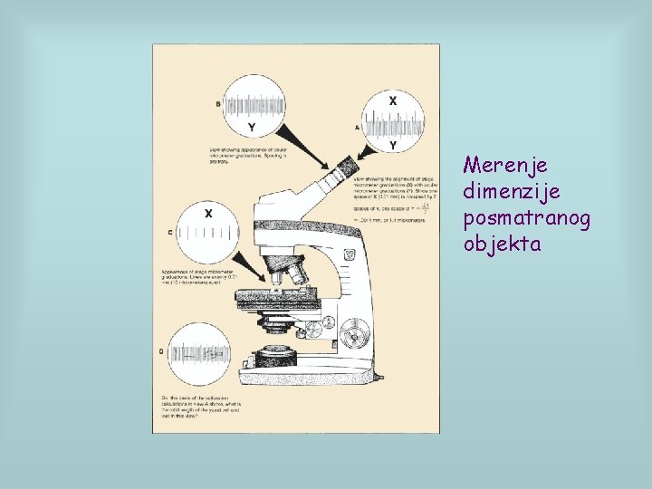 Merenje dimenzije posmatranog objekta 