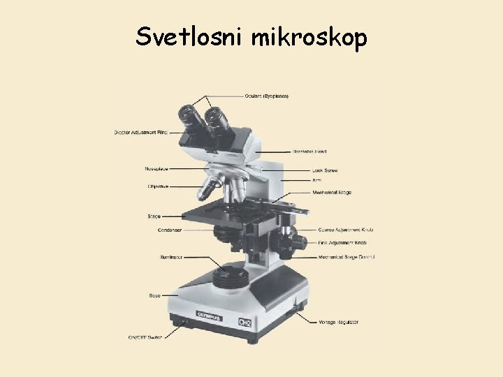 Svetlosni mikroskop 