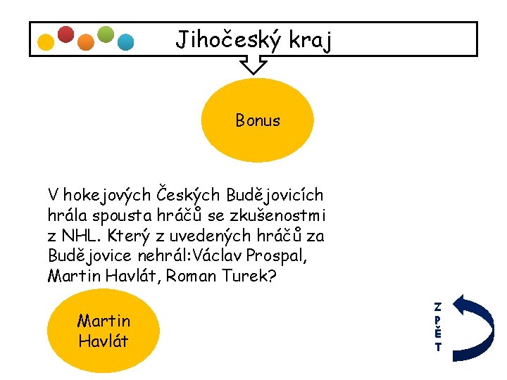 Jihočeský kraj Bonus V hokejových Českých Budějovicích hrála spousta hráčů se zkušenostmi z NHL.