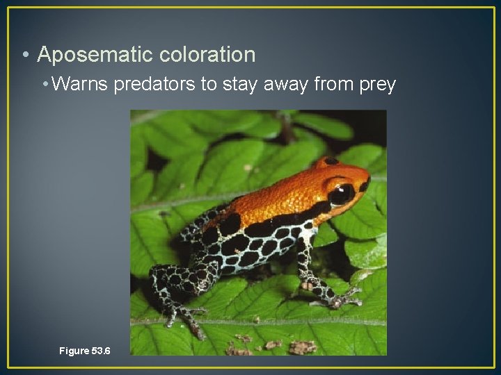  • Aposematic coloration • Warns predators to stay away from prey Figure 53.
