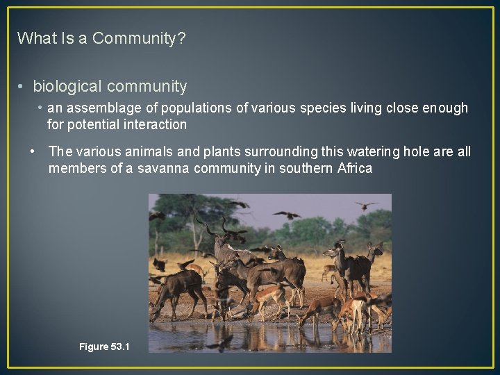 What Is a Community? • biological community • an assemblage of populations of various
