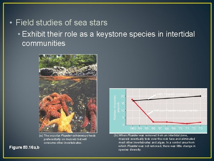  • Field studies of sea stars Number of species present • Exhibit their